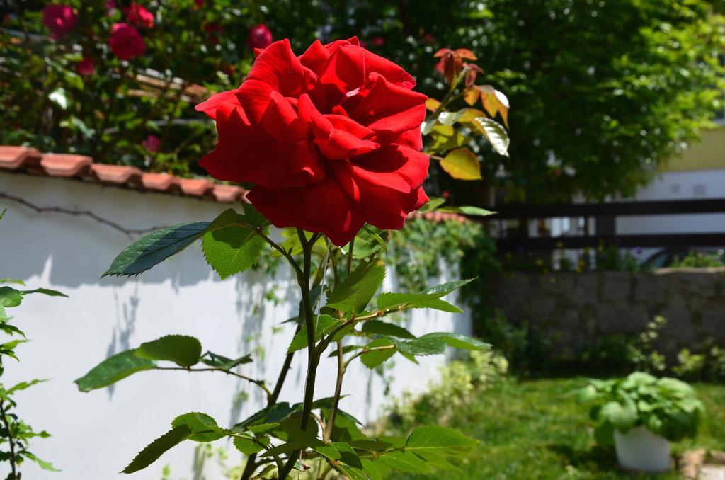 Kani Studios Szozopol Kültér fotó